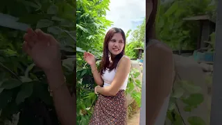 ตอน ขอเบิ่งทงนาน้อยแน  จบในตอน