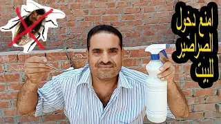 اقوى حاجتين هيمنعوا دخول الصراصير البيت