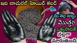 1 సెకండ్ లో 🍀మీ తెల్ల జుట్టు మొత్తం నల్లగా మారుతుంది| ఈ హెయిర్ కలర్👈ని ట్రై చేయండి👌permanent result