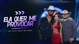 Guilherme Silva - ELA QUER ME PROVOCAR part. @BiudoPiseiro e @emilyribeirooficial