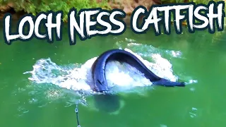 LOCH NESS MONSTER CATFISH 🦕