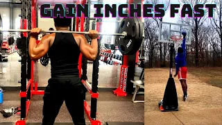 Best Leg Workout for Vertical Jump and Bigger Legs in the Gym