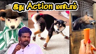 இது ஆக்சன் மாடம் | தொட்டாலே நடிக்கிறான் | Hoomans | Comedy