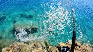 Hooked on Bermuda: Fishing Adventures Await! 🎣☀️