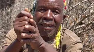 Breathtaking Hadza traditional life | Hadza Morning Cooking in wilderness