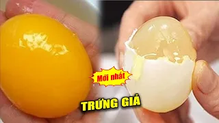 Phát hiện TRỨNG giả cực lớn - Cả nước giật mình!