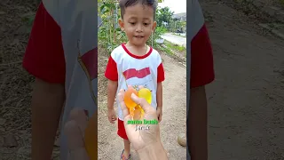 kumpulan video shorts arka part 4
