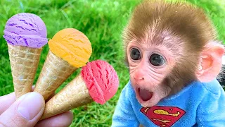 Monyet BonBon Imut Menikmati Es Krim Warna-Warni dan Memanen Semangka di Kebun untuk Dibuat Jus