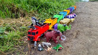 Wow‼️Hiu Orca Sapi Warna Warni Gajah Mammoth Kambing Panda Harimau Serigala diangkut dengan Truk