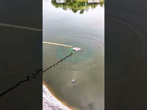 🔥 O velho truque do pescador: pescar peixes com carne podre! 🐟😮