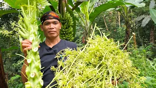 Batang pepaya/ngkolong bumbu terasi, dadar bunga pepaya telur bebek