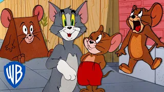 Tom y Jerry en Español 🇪🇸 | Lo mejor del ratón Jerry 🐭🤎 | @WBKidsEspaña