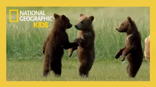 Wild Babies of America's National Parks! | Full Episode | Nat Geo Kids