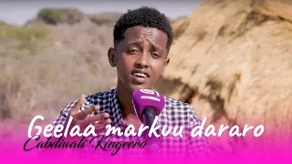 Cabdiwali Kingeero | Heesta Geelaa markuu dararo