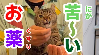 朝ごはん後の幸せな時間…しかし始まる猫のお薬ミッション
