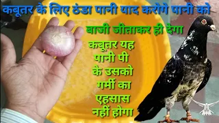 बाजी जिताने वाला!!ठंडा पानी कबूतर का!! बहूत ज्यादा उडान बढा देगा कबूतर की!! Part 6