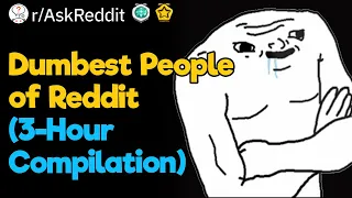 I'm With Stupid (3-Hour Reddit Compilation)
