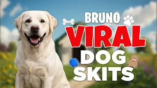 VIRAL Bruno EMOTIONAL Dog Skits!!