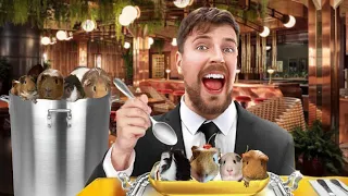 I Cooked 100 Guinea Pigs!