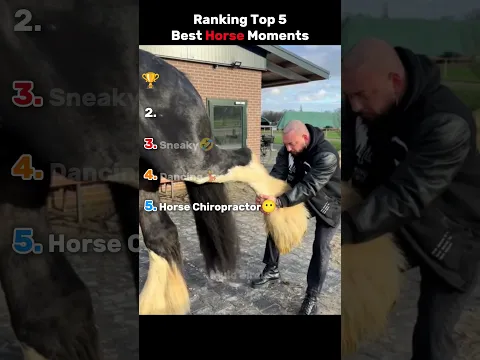 Ranking Top 5 Best 🎠 Moments 🤣