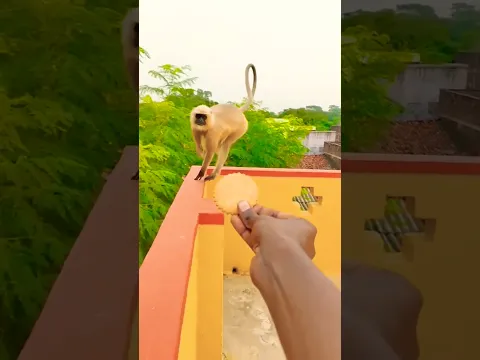 एक राम भक्त की कहानी 🙏🚩🙏😍😍😍😍😍।।#shorts