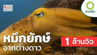 หมึกยักษ์จากต่างดาว | สารคดี สำรวจโลก