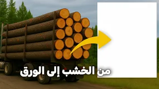 كيف يصنعون الورق من الخشب؟ الطريقة ببساطة مدهشة!