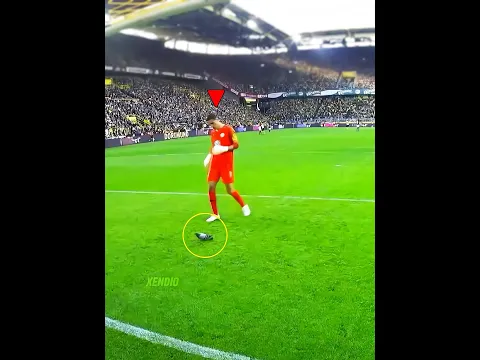 Animals in Football + DOG 🤯