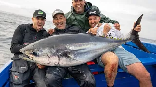 Jurassic Park Bluefin Tuna - Morocco