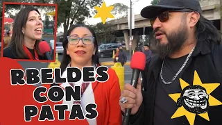 RBELDES con patas | El Jiots