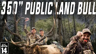 New Mexico GIANT BULL ELK on Public Land (LOF EP14)