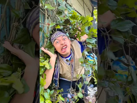 AKU SEORANG KAPITEN - nyanyi lagu prok prok prok