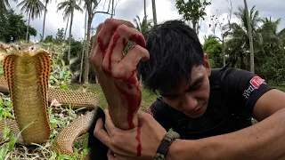 COBRA PRINCE NATUKLAW