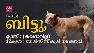 നടക്കാവ് ഗേൾസ് സ്കൂളിന്റെ സ്വന്തം ബിട്ടു... പക്ഷെ ക്ലാസിൽ കയറാറില്ല | Madhyamam |