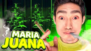 MARIA JUANA ENTERPRISES !! - Schedule 1 | Fernanfloo