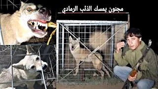عراقي يصطاد اضخم الذئاب _الذئب الرمادي النادر