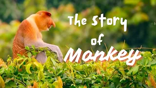 लम्बी नाक वाले बंदर की प्रेरणादायक कहानी 😲 | the Monkey Story 💯🔥 ( Must Watch )