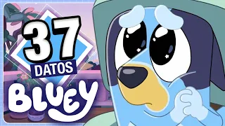 Bluey: 37 Datos MUY ADULTOS que DEBES saber ¿Más seria de lo que aparenta? | Átomo Network