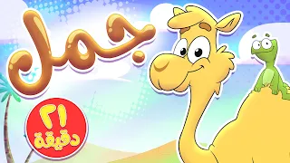 أغنية جمل ومجموعة من الاغاني الممتعة | قناة تيونز كيدز - Tunes Kids
