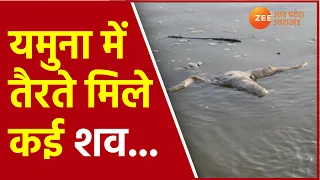Hamirpur News |Yamuna में तैरते मिले कई शव, नदी में बढ़ा CoronaVirus फैलने का खतरा | Yamuna River |