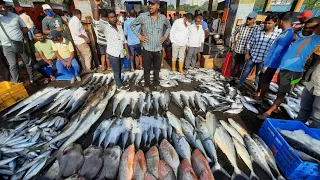मुंबईत होणारा सर्वात मोठा माश्याचा लिलाव | ससुन डॅाक | Life On Sassoon Dock | Biggest Fish Market