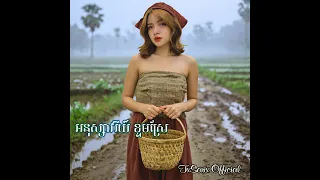 អនុស្សាវរីយ៍ ខ្ទមស្រែ || Best Khmer Song