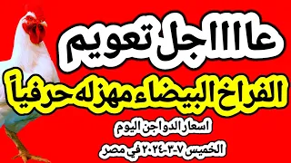 اسعار الفراخ البيضاء اليوم اسعار الدواجن اليوم الخميس ٧-٣-٢٠٢٤ في مصر