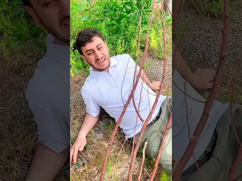 مين رح ينقظ محمود