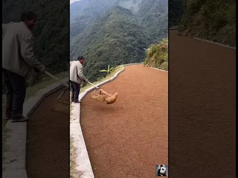 आपको भी यकीन नहीं होगा