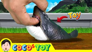 A toy megalodon lives in my front yard!｜sharks for kids｜CoCosToy