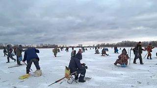 КУДА БЕГУТ? Такой рыбалки я ещё не видел!