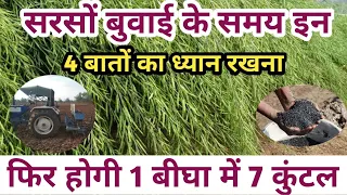 सरसों की बुवाई करते समय इन 4 बातों का ध्यान रखना पैदावार निकलेगी 1 बीघा में 7 कुंटल, musterd farming