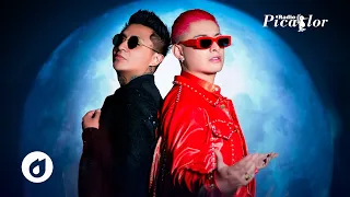 ♫ Un Idiota 💎 El Cartel Q'mbiero & @ExplosionCumbiera  🔥 ¡#1 Tendencia de Música! ✨