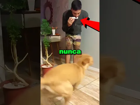 Nunca le pongas esta canción a tu perro 😱😳 #shorts